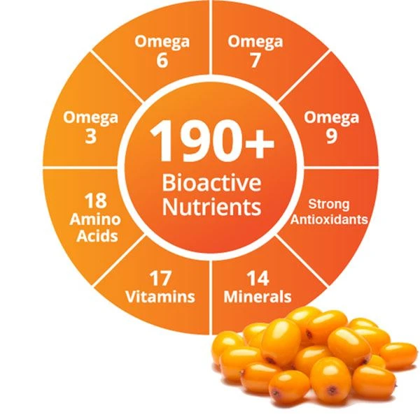 Sea buckthorn nutrients Sea buckthorn nutrients