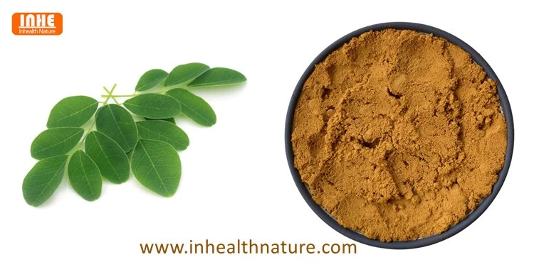 Moringa Leaf and Moringa Extract Powder Moringa Leaf and Moringa Extract Powder
