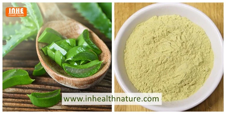 Aloe Vera and Aloe Vera Powder Aloe Vera and Aloe Vera Powder