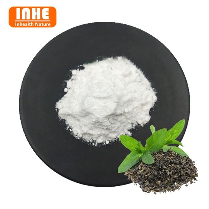 Epicatechin Powder