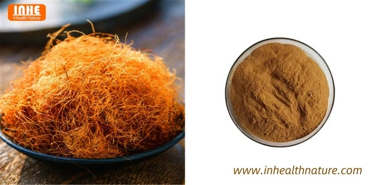 Corn Silk and Corn Silk Extract