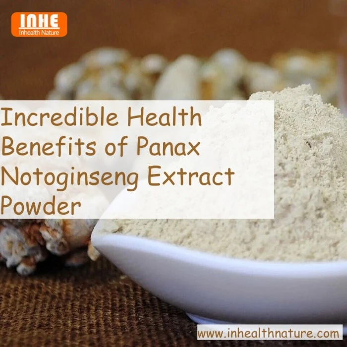 Incredible Health Benefits of Panax Notoginseng Extract Powder