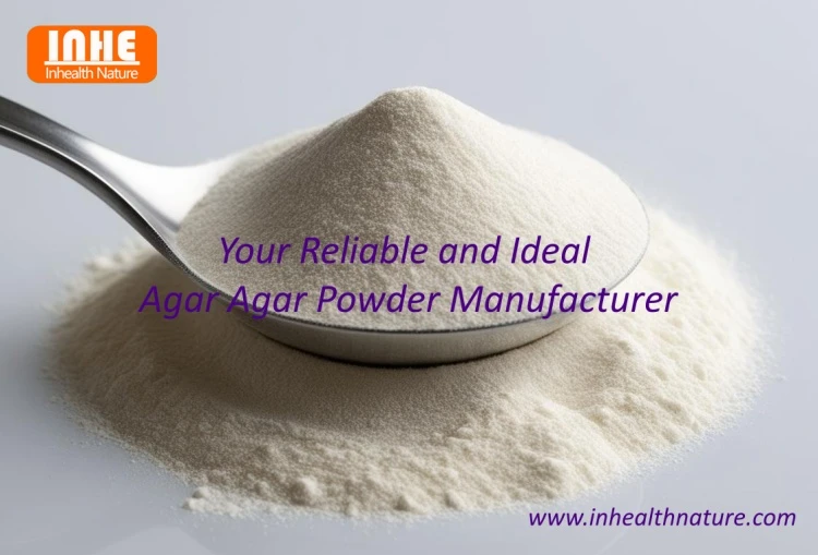 Your Reliable and Ideal Agar Agar Powder Manufacturer
